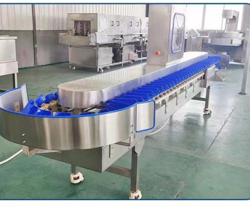 Grader d'huîtres automatique: trieur de poids du plateau rotatif pour les fruits de mer et produire