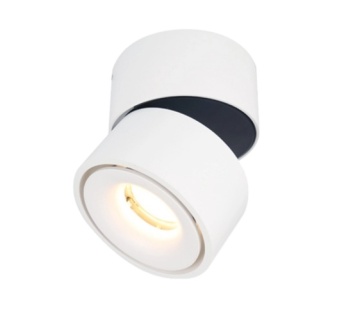 2021 LED Tiltable COB 13W Surface Downlight Plafin Mount