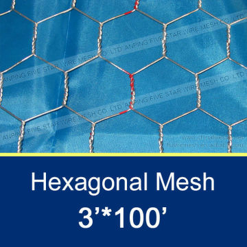 3/4" Chicken Coop Hexagonal Wire Mesh 1x25m
