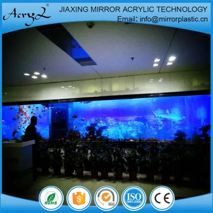 Acrylic Fish Tank in Ocean Park