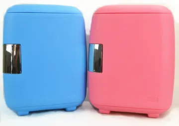 DC 12V 4L Refrigerators Beauty Makeup Mini Fridge