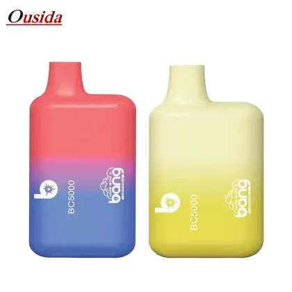 Bang 5% Nic Electronic Cigarettes Rechargeable