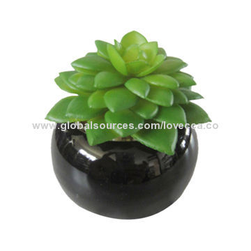 China wholesale artificial plants succulent plant