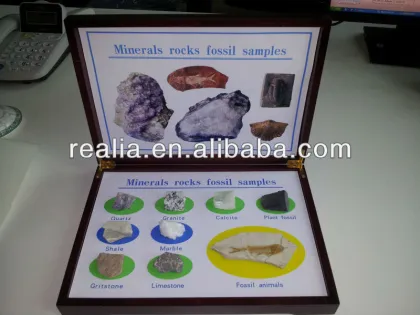 Minerals rocks fossil specimen