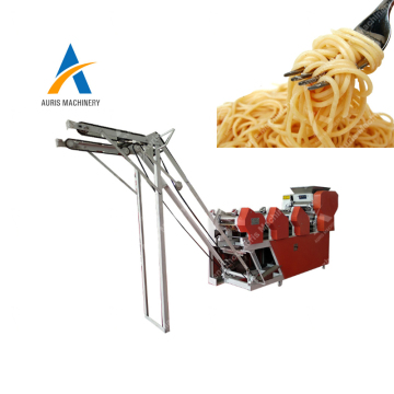 Konjac Instant Shirataki Noodle Making Machine: Your Guide to Homemade Healthy Noodles