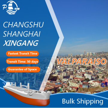 Break Bulk Shipping from Shanghai to Valparaiso
