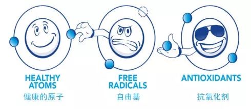 anti-oxidant4