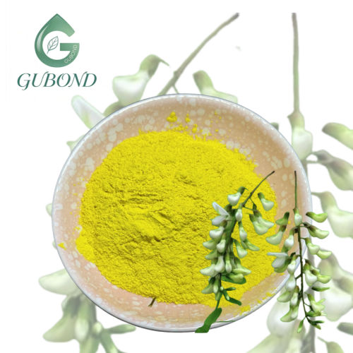 Quercetina en polvo para ingredientes de suplementos dietéticos