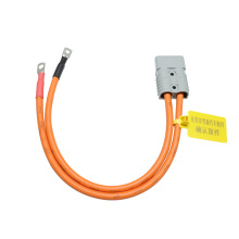 Connettore 2pin175a personalizzato per nuovo imbracatura energetica