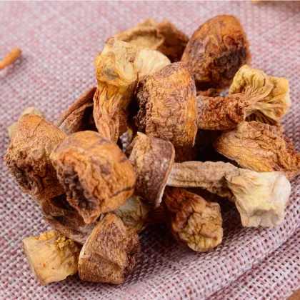 Wholesale Tricholoma matsutake, yellow head fungus, boletus, morel, razor clam