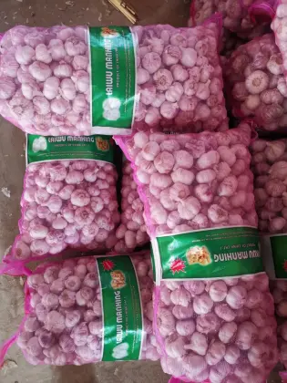 Brand New Crop Fresh Garlic
