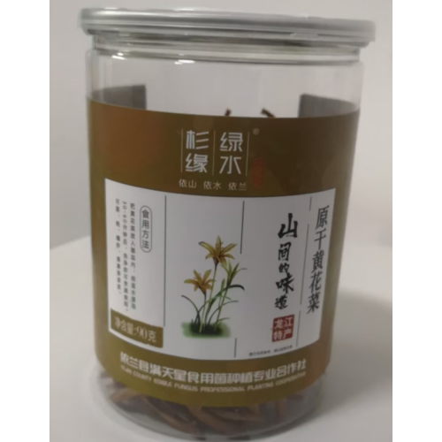 Delicioso pepino seco hemerocallis