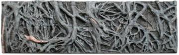 dragon root background wall