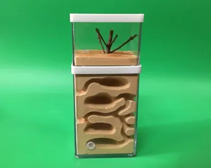 Ant Farm Tank: Educational Formicarium Ant House Nest