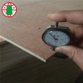 915-2135 mm  Bingtangor CC plywood