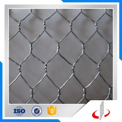 Galvanized Hexagonal Chicken Wire Mesh for kenya farms