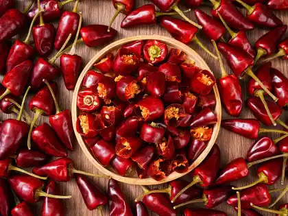Authentic spicy flavor Dried chili-Bullet chili pepper
