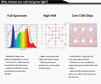 Hydroponics Indoor Grow Light 3000w