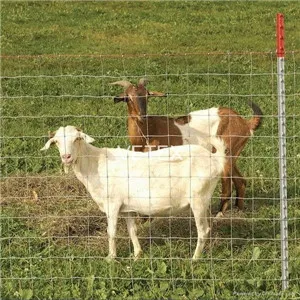 Knotted Wire Mesh Fence