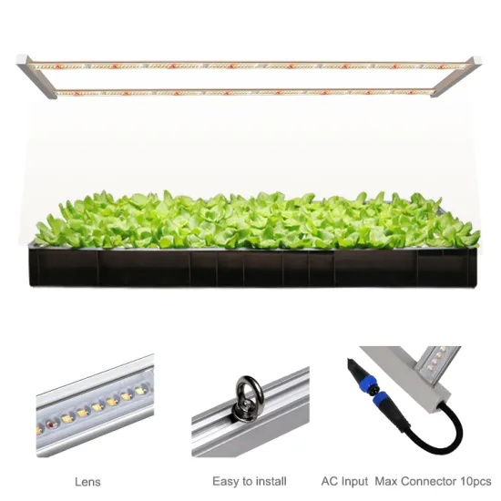 Economical Double Row Full Spectrum Hydroponic Plant Growth Lamp