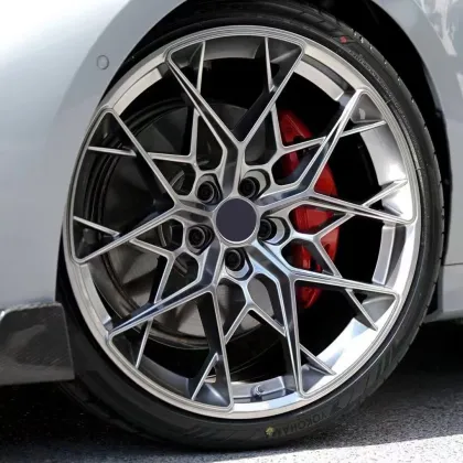 Silvery Bronze Gold Alloy Wheel 1 Piece Forged Car Wheels for BMW M2/M3/M340i & Audi Mercedes-Benz HRE Wheels F10