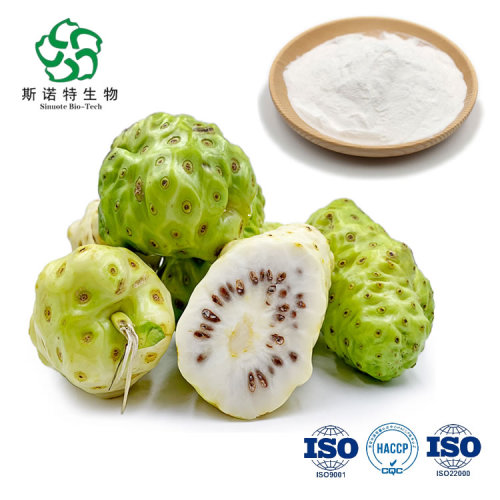 Natural Fresh Hot Selling Noni Fruit Extract Powder