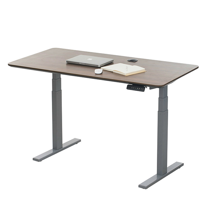 Adjustable Standing Desk For Home Office