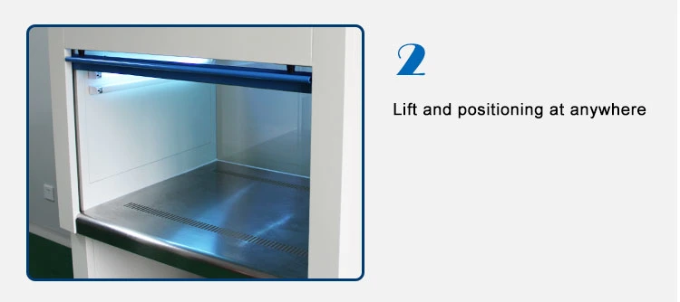 Cabinet d'écoulement laminaire à débit vertical, cadre en acier finis à époxy, panneaux transparents en PVC statiques, toppie perforée en acier inoxydable de qualité 304.