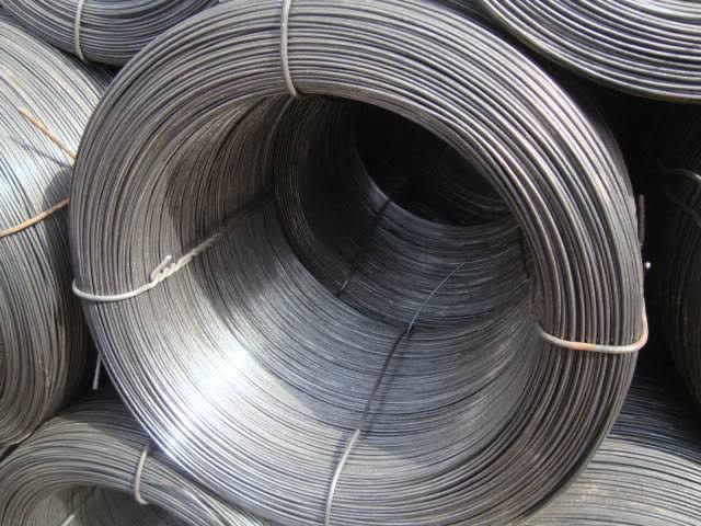 12g/m2 Zinc Coated Electric Galvanized Wire