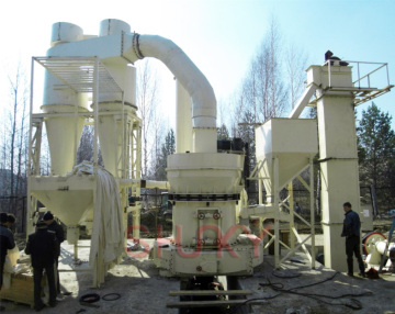 3t/h Roller mill