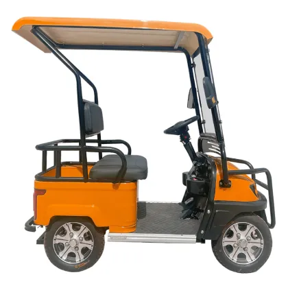 Isv Vehicle Electrique 2024: Mini Electric Golf Cart