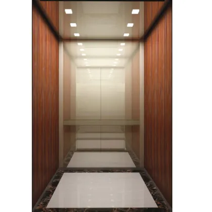Hyundai Fuji Home Elevator for Sale Luxury Hotel Elevator Lift