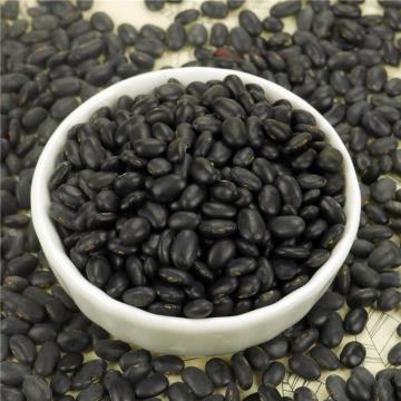 2017 Crop Small Black Beans