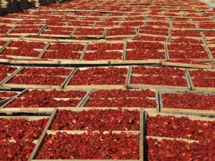 Sweet Sun Dried Tomatoes Wholesale