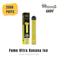 Rücken Sie Ultra 2500 Puffs Vape