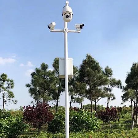 Custom Hot-Dip Galvanized Q235 Steel CCTV Poles 4m 5m 6m