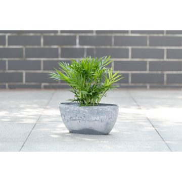 Maceta de novedad geométrica abstracta