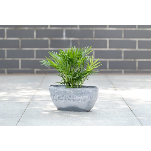 বিমূর্ত জ্যামিতিক নতুনত্ব উদ্ভিদ পাত্র