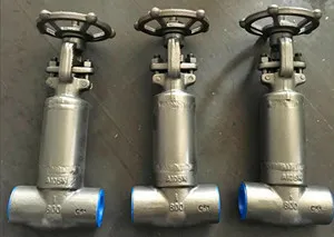 Welding Forged bellows gate valve
