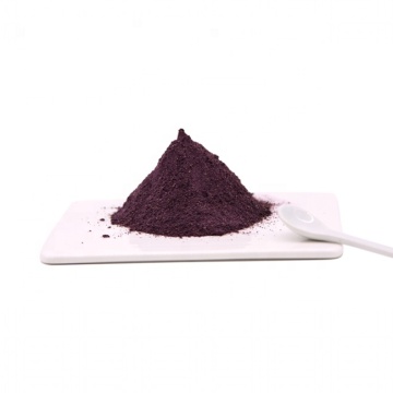 Black Anthocyanidins pure elderberry extract powder