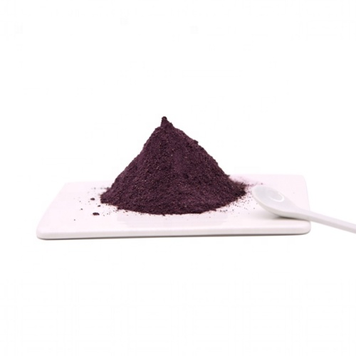 Hot Selling extract Black Anthocyanidins pure elderberry extract powder Supplier