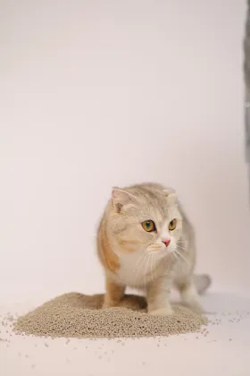 Mixed Size Lemon Scented Bentonite Cat Litter