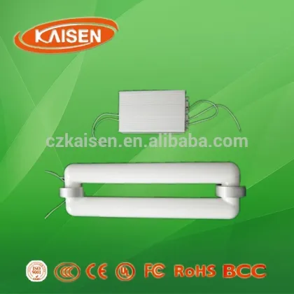 80W high quality LVD high power induction street lamp