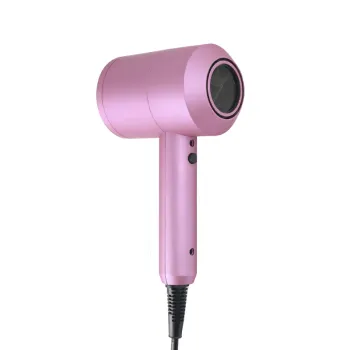 Ceramic Ionic Hair Blower 1000W Professional Salon Hair Dryer High Power Household Hairdryer