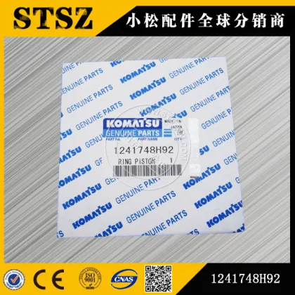 SET PISTON RING 1241748H92