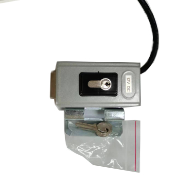 Chisung 12V Automatic Gate Opener with Electric Lock: Access Control Solution for Your Property