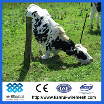 hot dippped galvanized cattle fence