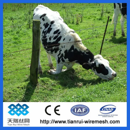 hot dippped galvanized cattle fence