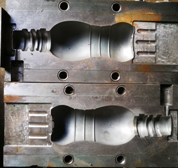 Mold Search Engine: Find Information on Molds, Spores, and Fungi