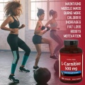 OEM/ODM يمنع امتصاص كبسولات L-Carnitine